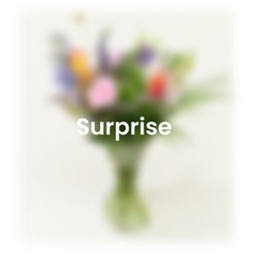 Surprise bouquet Flowers Friends